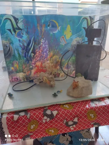 Vendo aquário completinho