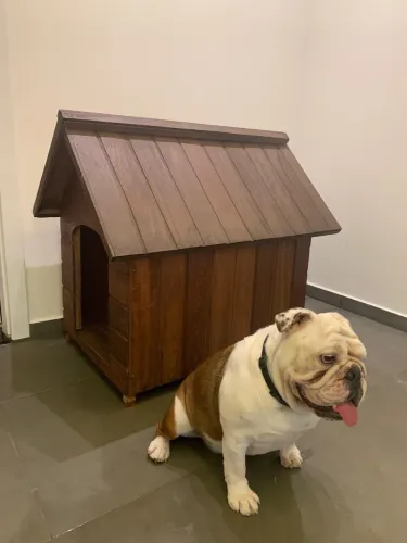 Casinha de cachorro - Grande