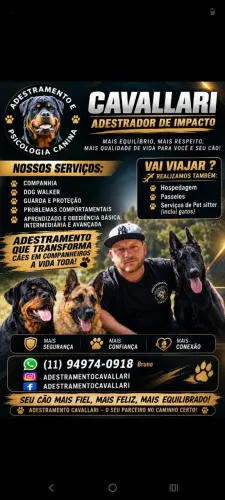 Adestrador de cães
