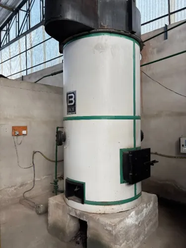 Caldeira / Gerador de Vapor Benecke 320 kg/h a Lenha - 2015