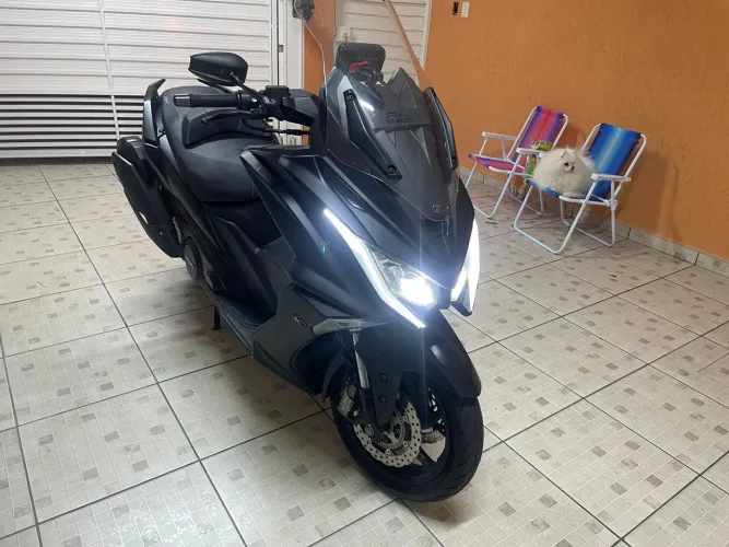 Ak550 2023 