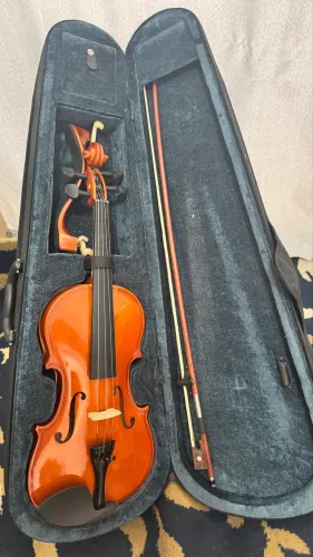 Violino
