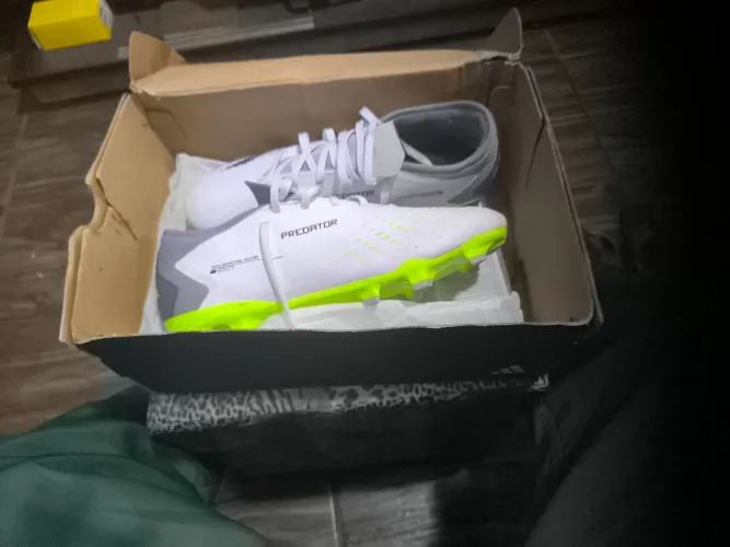Chuteira Adidas predator