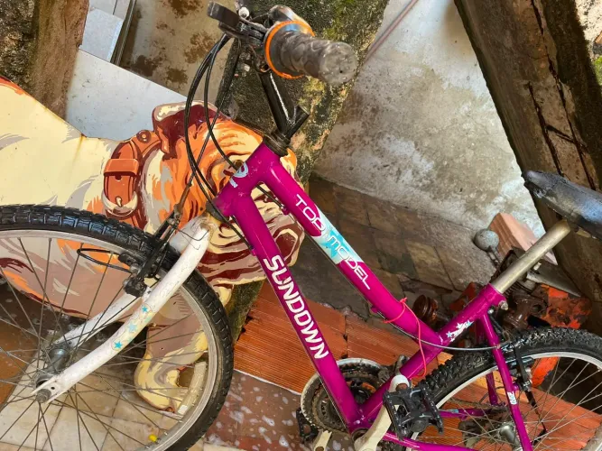 Biclieta/ bike