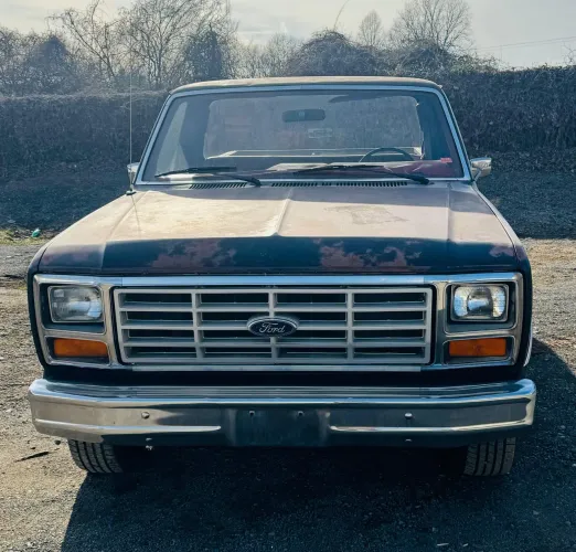 Ford F-100 Super 3.6 1983