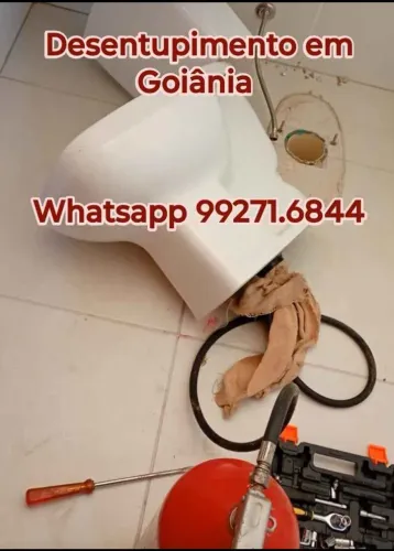 Desentupidora vaso sanitário ralo