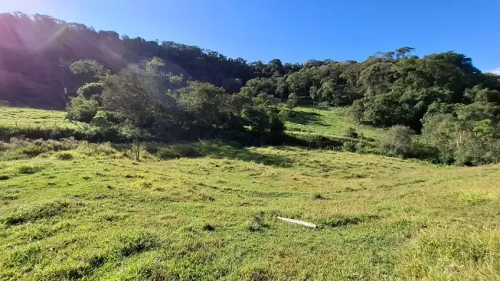Excelente Sítio de 12,60 Hectares, nas Terras Altas da Mantiqueira, Wenceslau Braz/ MG