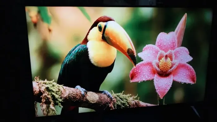 Tv Smart 50 4k Lg Imagem Lindissima Impecavel Completa