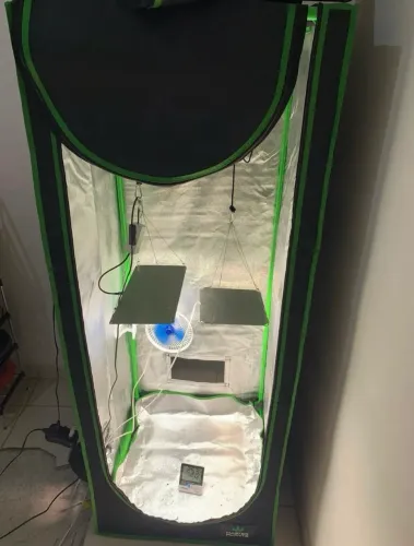 Estufa grow 60x60x120 + 2 quantum boards 35w e 65w + exaustor c carvão ativado