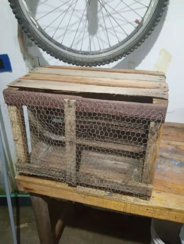Gaiola para aves