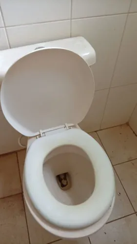 Tenho 10 vasos acoplado usado mais bom