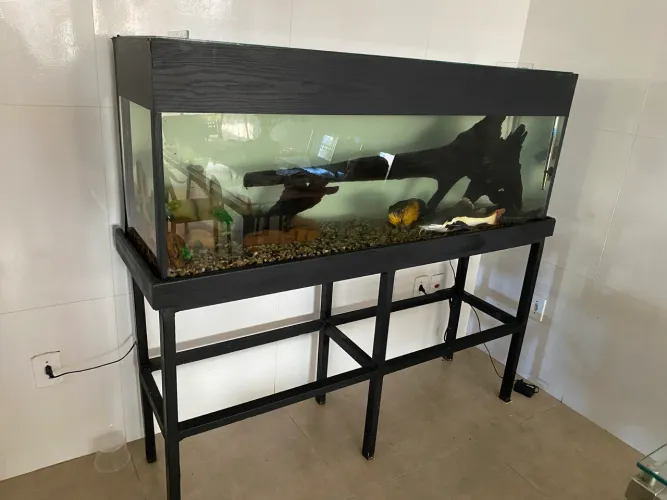 Aquario
