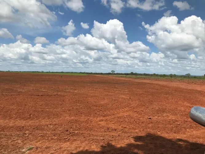 Fazenda dupla aptidão - São Felix de Balsas - Ma