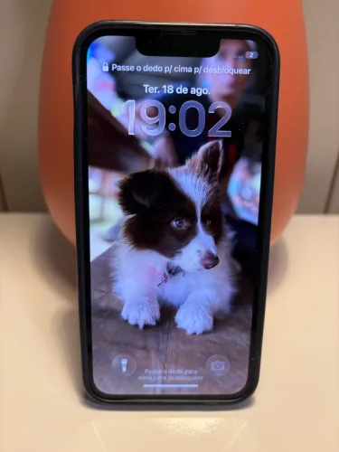 iPhone 13 mini 128Gb