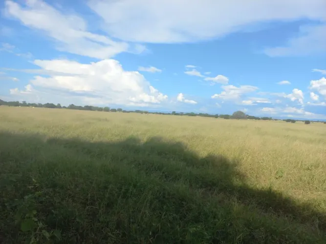 Fazenda para Venda em Jaíba, 1 dormitório, 1 banheiro