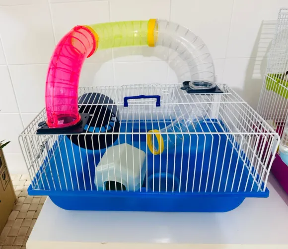 Casinha para hamster pequena