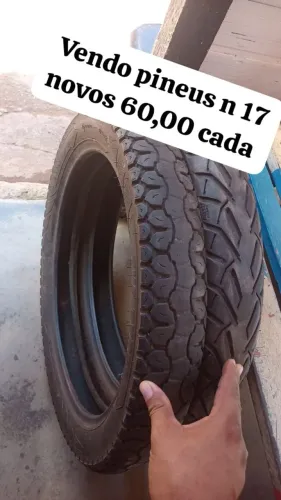 N 17 vendo pineus novos