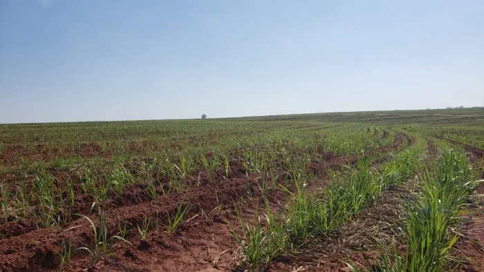 Fazenda à venda em Nova Granada-SP, Zona Rural: 1 quarto, 1 banheiro, 1.718.200,00 m² de á