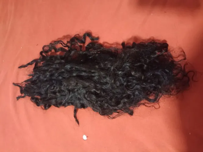 Cabelo humano