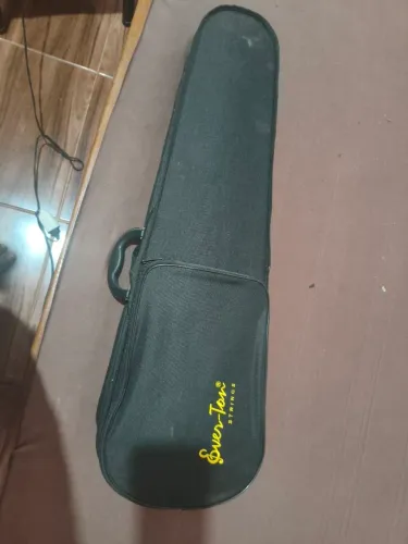 Violino