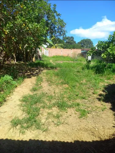 Vendo Terreno