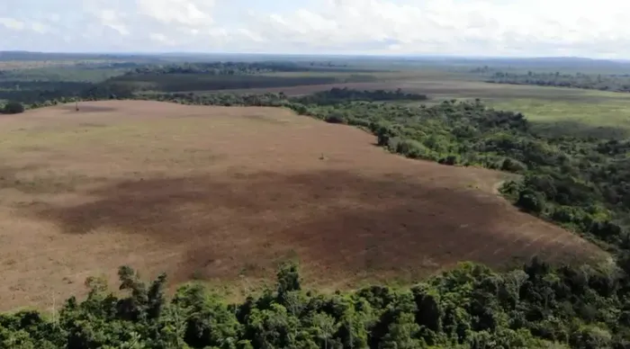 FAZENDA N.J OPORTUNIDADE RARA PARA INVESTIDORES QUE BUSCAM ATIVOS RURAIS DE VALOR REAL!