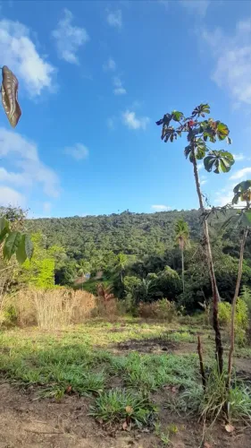 TERRENO PARA SÍTIO OU CHÁCARA EM VITÓRIA DE SANTO ANTÃO