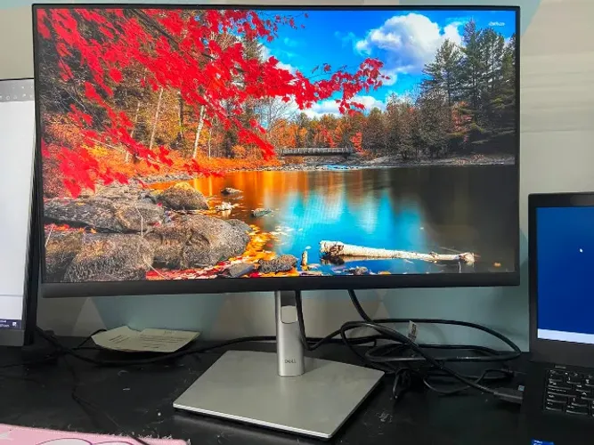 Monitor Dell 24"