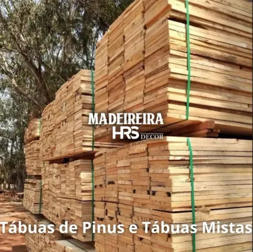 Contratamos Motochapa Carteira D ou B - Para Madeireira - Com Disposição - Ler Descrição