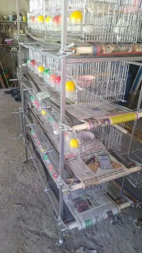 Vendo estante com dez gaiola para canário