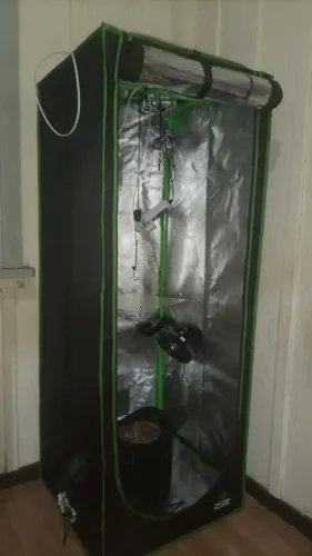 Kit Cultivo Indoor Completo (Estufa Master Plants + LED + Exaustor + Acessórios)