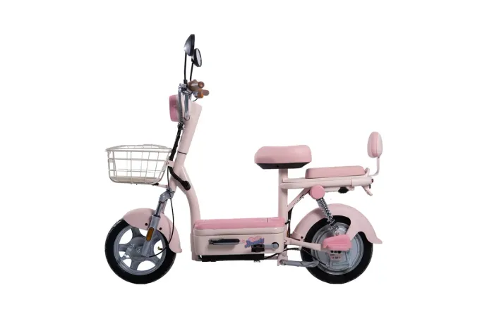 Bicicleta elétrica Z2 500W
