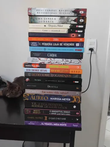 Vendo lote de livros 
