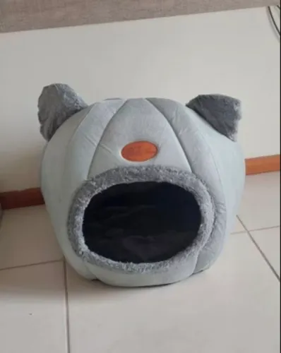 Caminha de gato