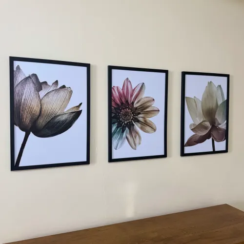 Trio de quadros de parede medidas 0,63x0,45 cm