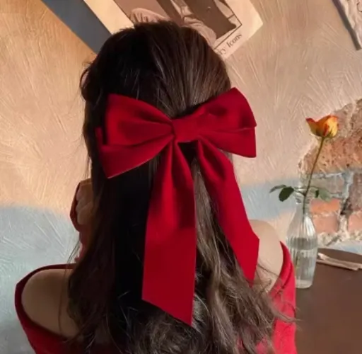 Laço aveludado presilha novo 