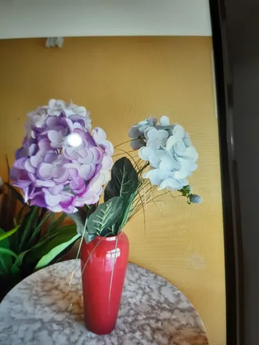 Jarra decorativa
