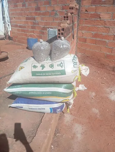 Ainda temos esterco de gado esterco de galinha Terra preta