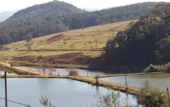 Fazenda 96 Alqueires, Rica Em Agua, Nascentes e Represas, Margem do Asfalto Casa Sede, Cas