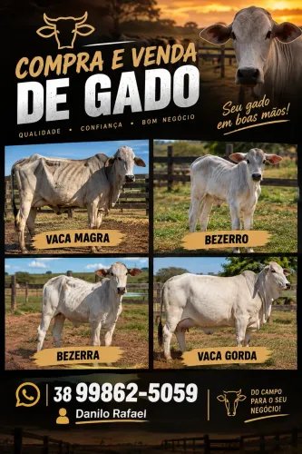 Compra e venda de gado