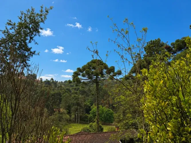 Oportunidade em Campos do Jordão - Terreno Alto com Linda Vista e Excelente Topografia