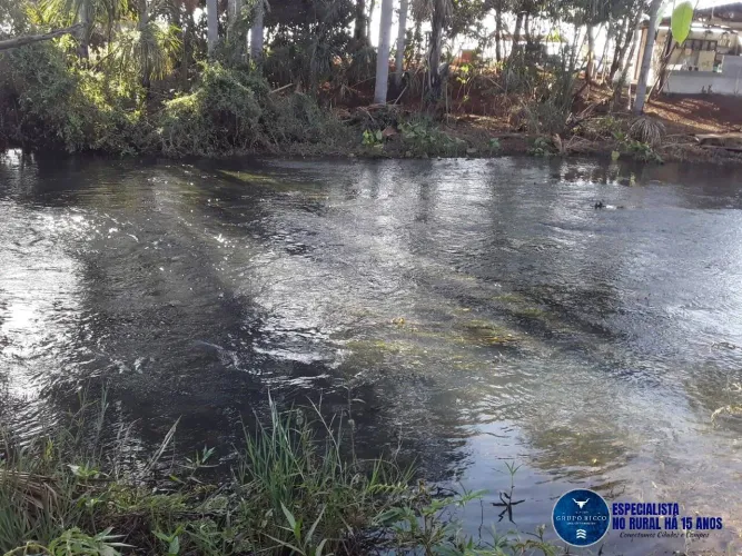 Chácara à Venda com 5,2 Alqueires  Beira do Asfalto em Santa Helena - GO