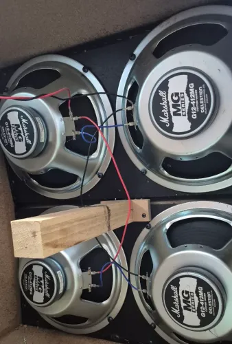 Marshall Celestion
