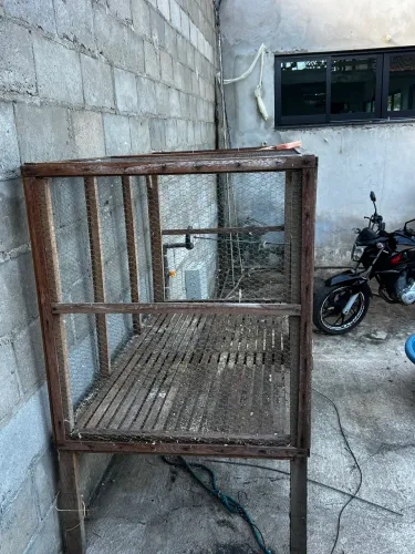   * Viveiro Grande em Excelente Estado 