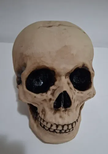 Caveira Crânio decorativo