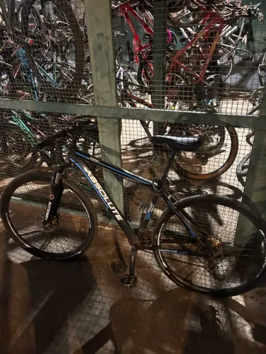 bicicleta Absolute Aro 29