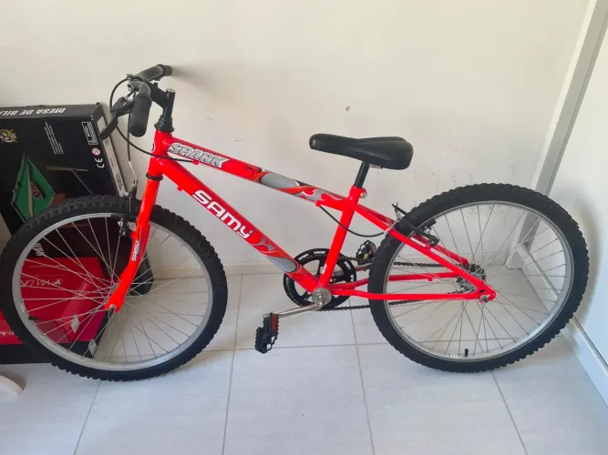Bicicleta