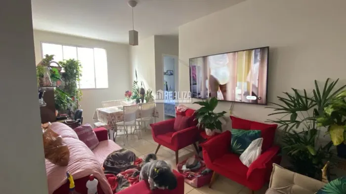 Apartamento com 2 Quarto(s) e 1 banheiro(s) para Alugar, 56 m² por R$ 3050 / Mês