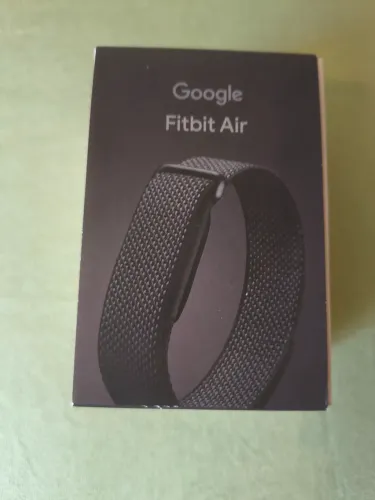 Google Fitbit Air