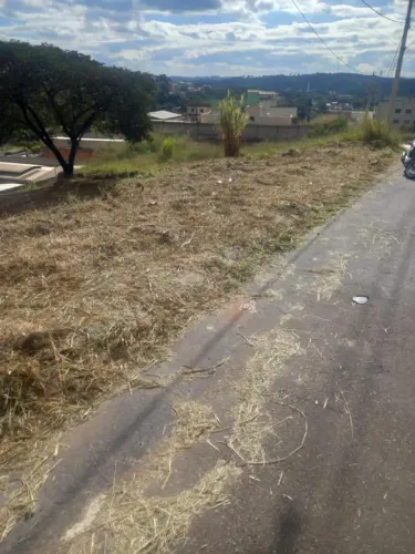 Lote para Venda em Sarzedo, Santa Rosa